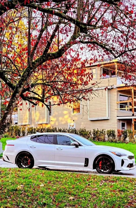 2018 Kia Stinger GT - Image 3 of 8