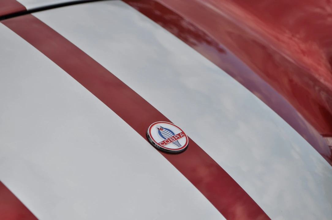 Shelby Cobra Replica - Image 20 of 31