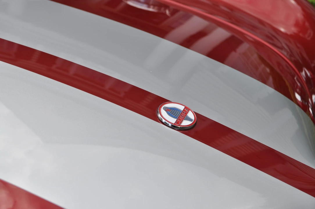 Shelby Cobra Replica - Image 19 of 31
