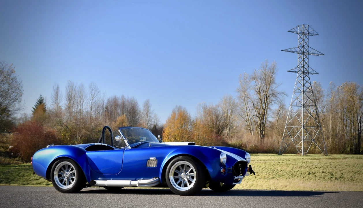 Shelby Cobra Replica - Image 10 of 31