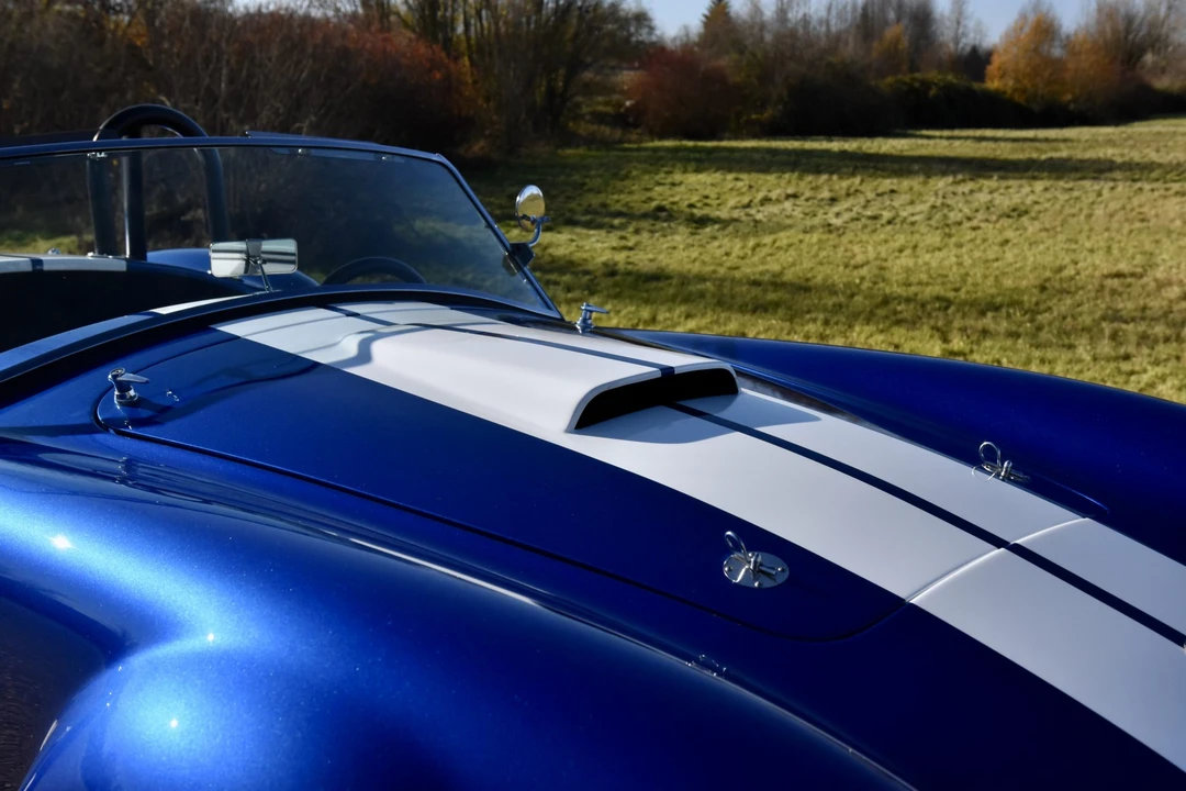 Shelby Cobra Replica - Image 31 of 31