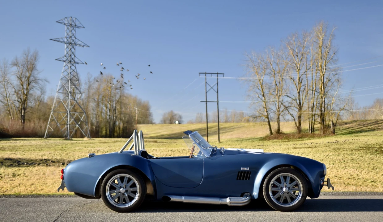 Shelby Cobra Replica - Image 26 of 31