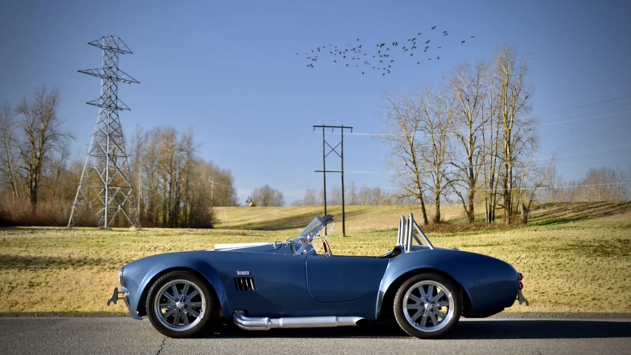 Shelby Cobra Replica - Image 3 of 31