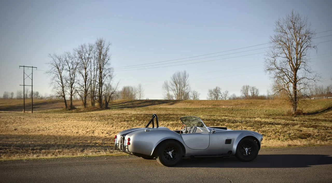 Shelby Cobra Replica - Image 30 of 31