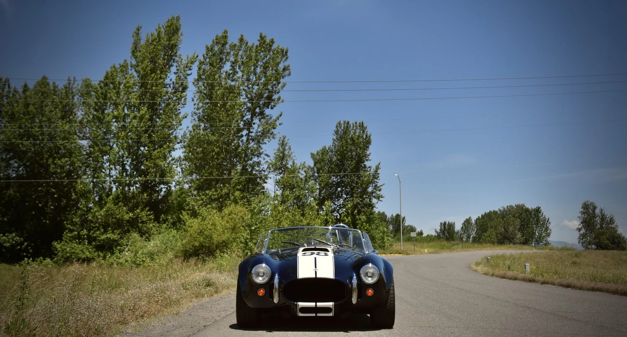 Shelby Cobra Replica - Image 31 of 31