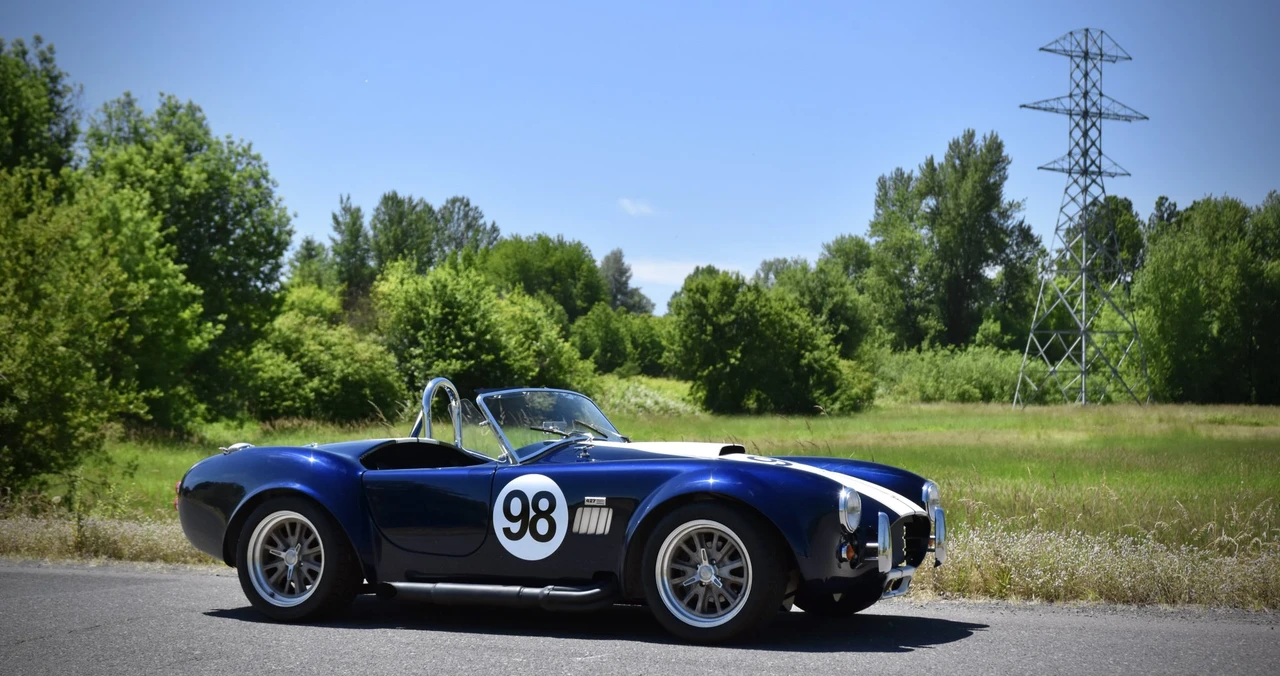 Shelby Cobra Replica - Image 25 of 31