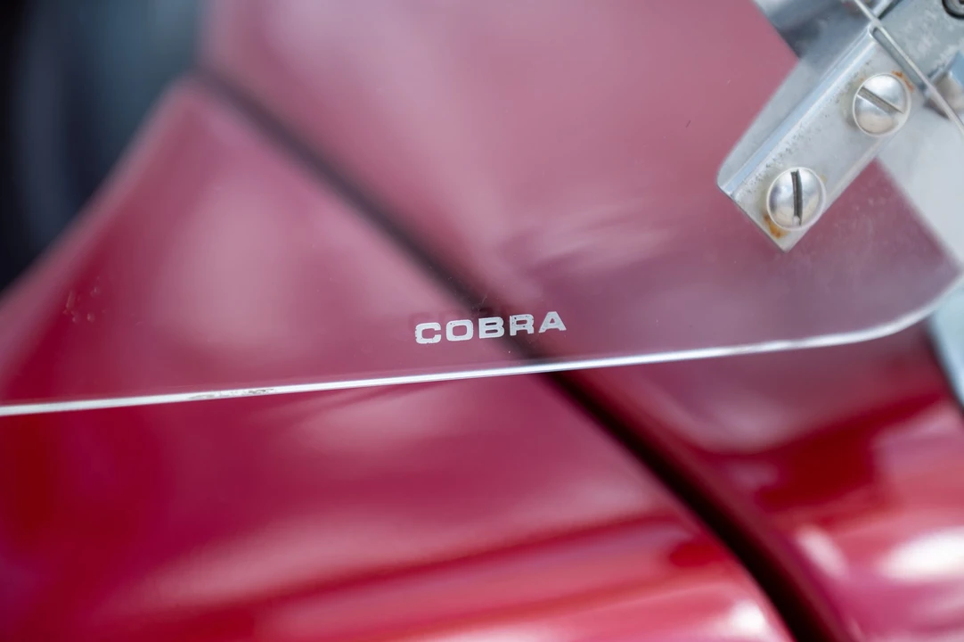 Shelby Cobra Replica - Image 31 of 31