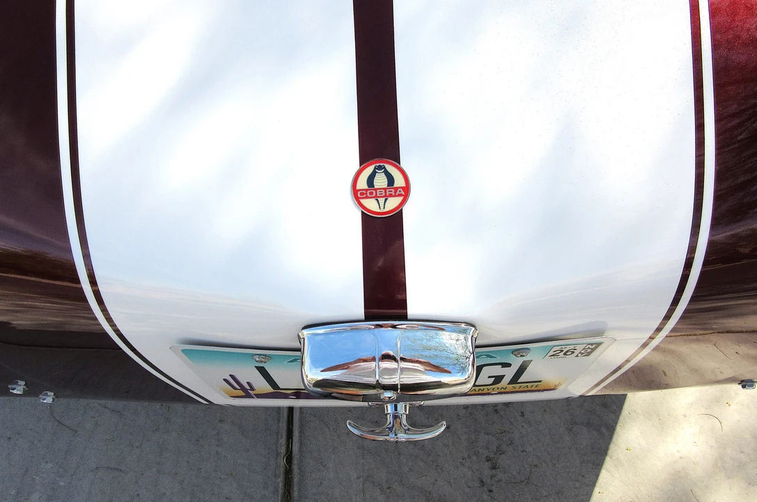 Shelby Cobra Replica - Image 31 of 31