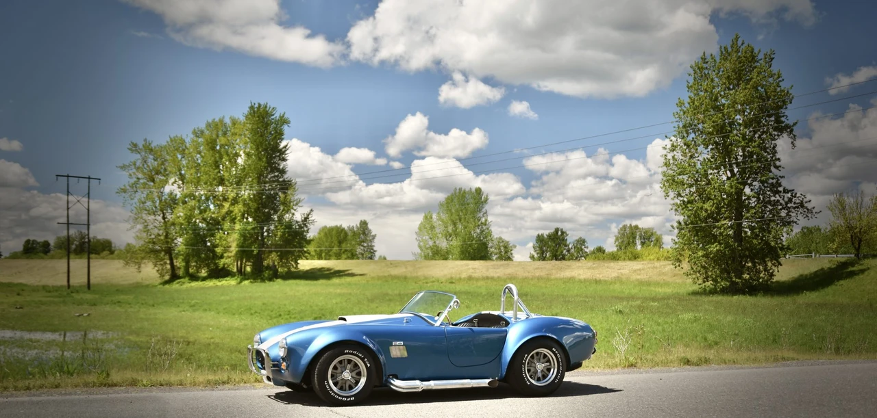 Shelby Cobra Replica - Image 22 of 31