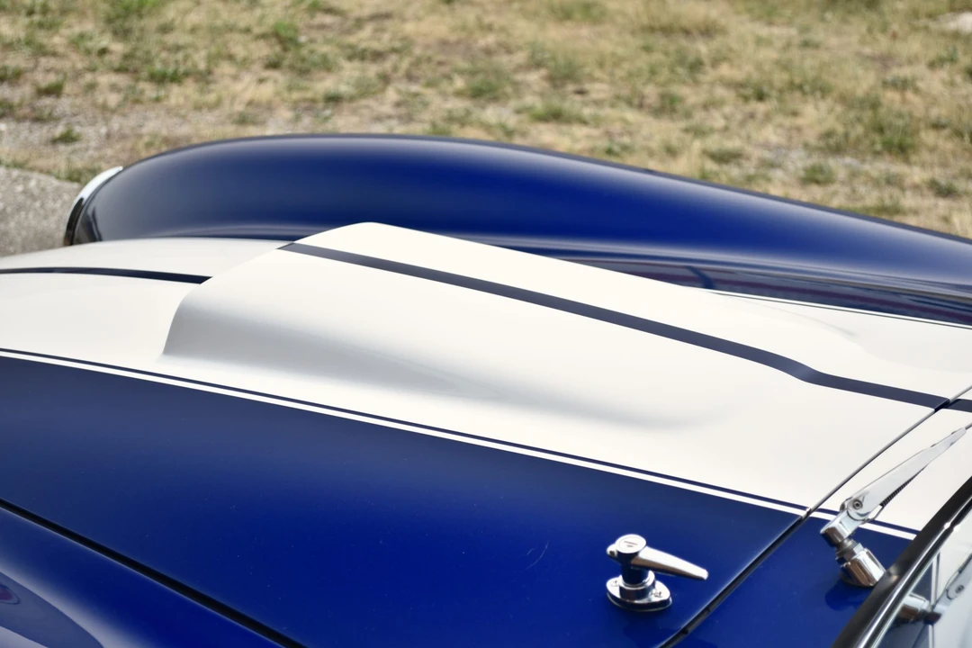 Shelby Cobra Replica - Image 29 of 31