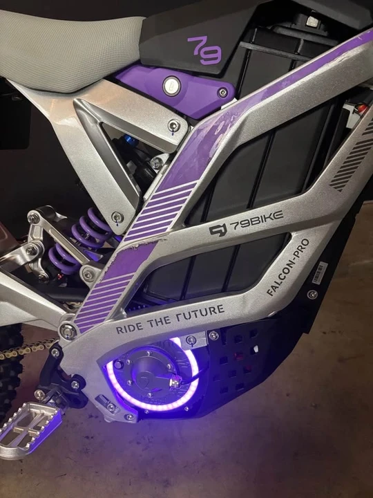 Falcon - Image 4 of 4