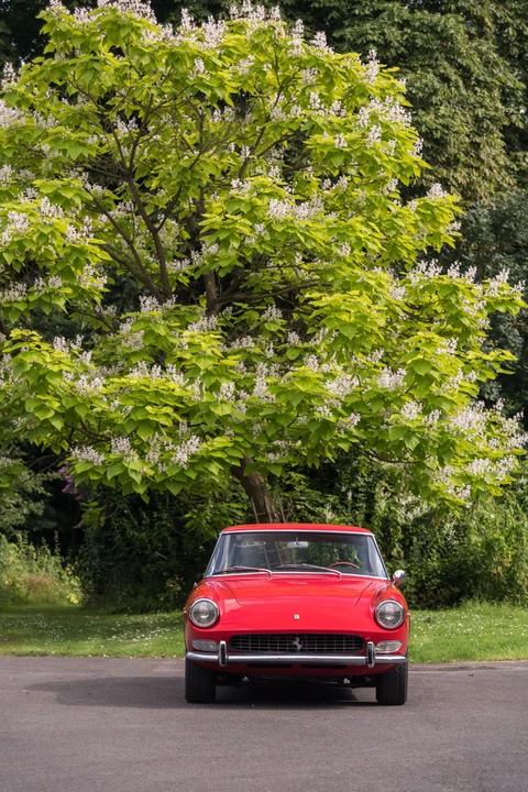 Ferrari 330 GT 2+2 - Image 4 of 24