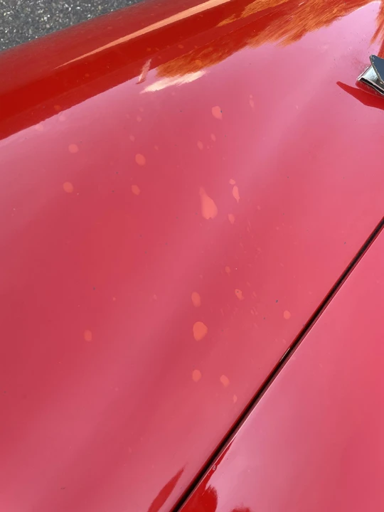 Fiat - Image 30 of 31
