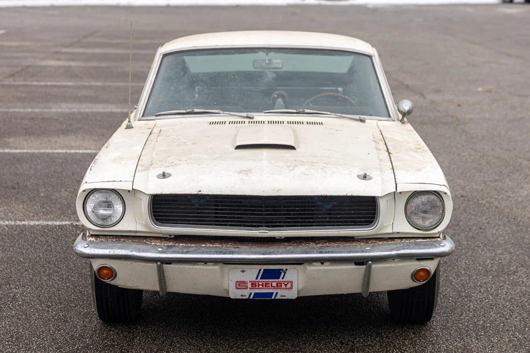1966 Shelby GT350 - Image 15 of 31