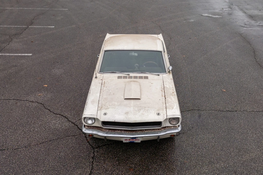 1966 Shelby GT350 - Image 28 of 31