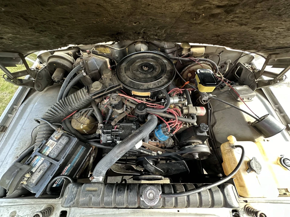 1983 Jeep SJ Cherokee - Image 3 of 9