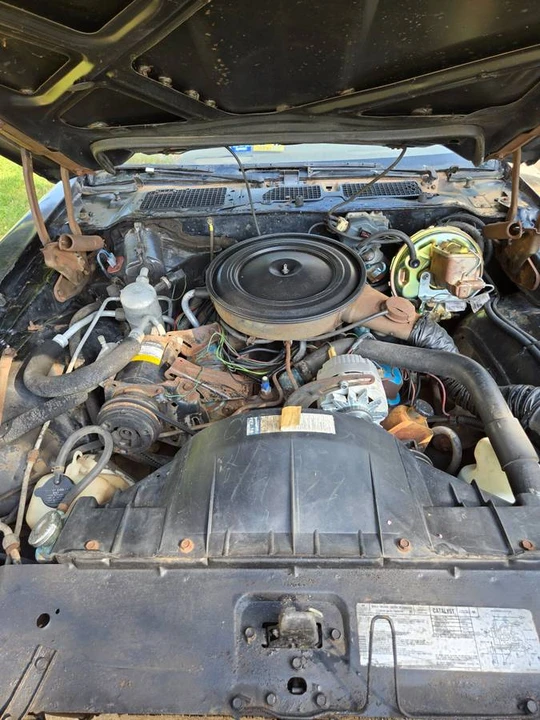 1979 Pontiac Firebird Formula 2nd Gen - Image 16 of 17