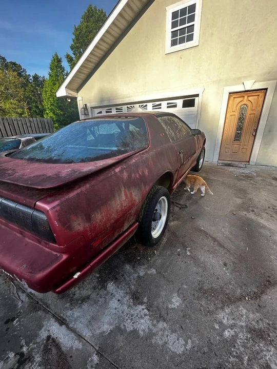1991 Pontiac Firebird Trans Am 3rd Gen - Image 15 of 16