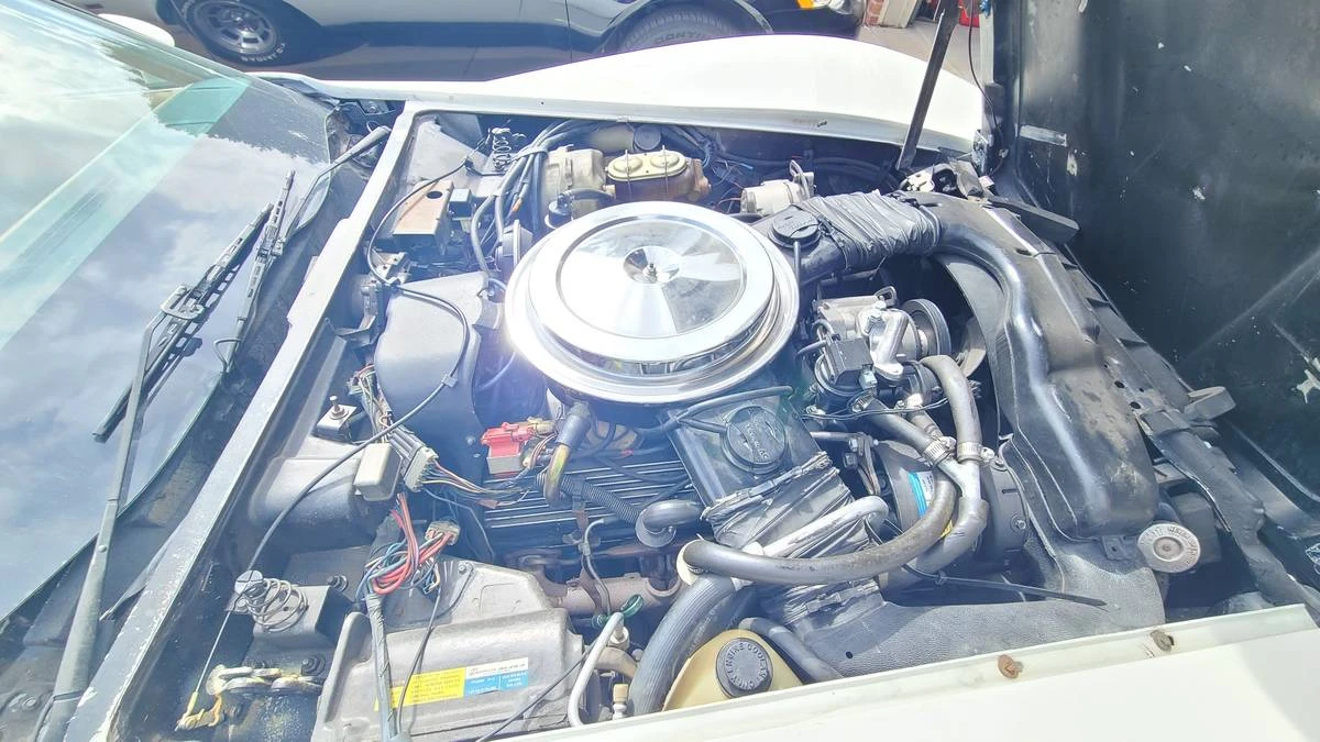 1981 Chevrolet Corvette C3 - Image 17 of 20