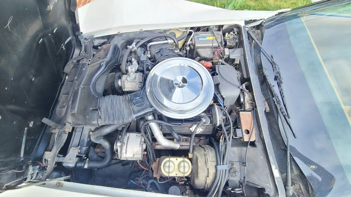 1981 Chevrolet Corvette C3 - Image 16 of 20