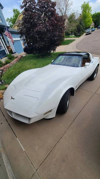 1981 Chevrolet Corvette C3 - Image 13 of 20