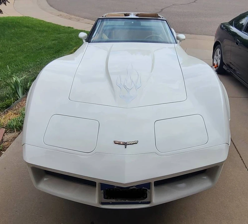 1981 Chevrolet Corvette C3 - Image 11 of 20