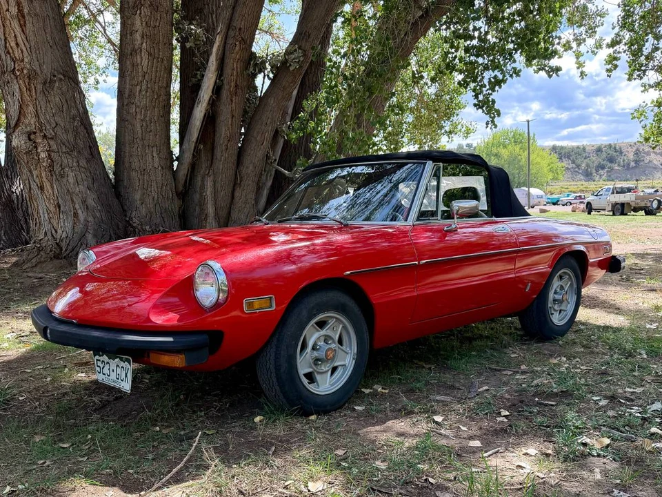 1978 Alfa Romeo Series 2 - Image 10 of 24