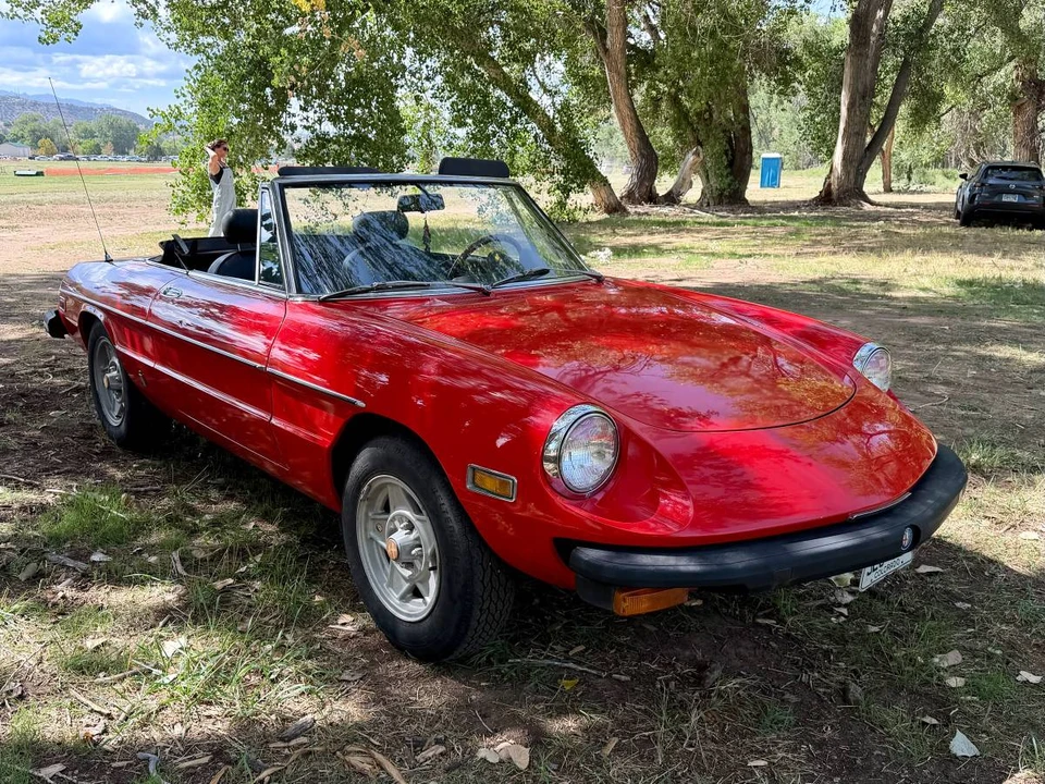 1978 Alfa Romeo Series 2 - Image 8 of 24