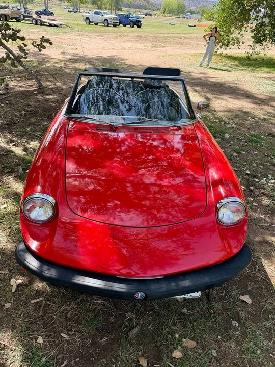 1978 Alfa Romeo Series 2 - Image 9 of 24