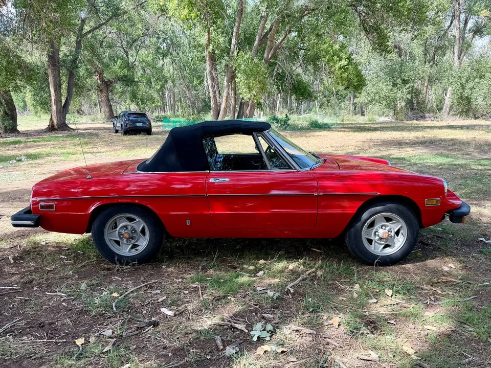 1978 Alfa Romeo Series 2 - Image 16 of 24