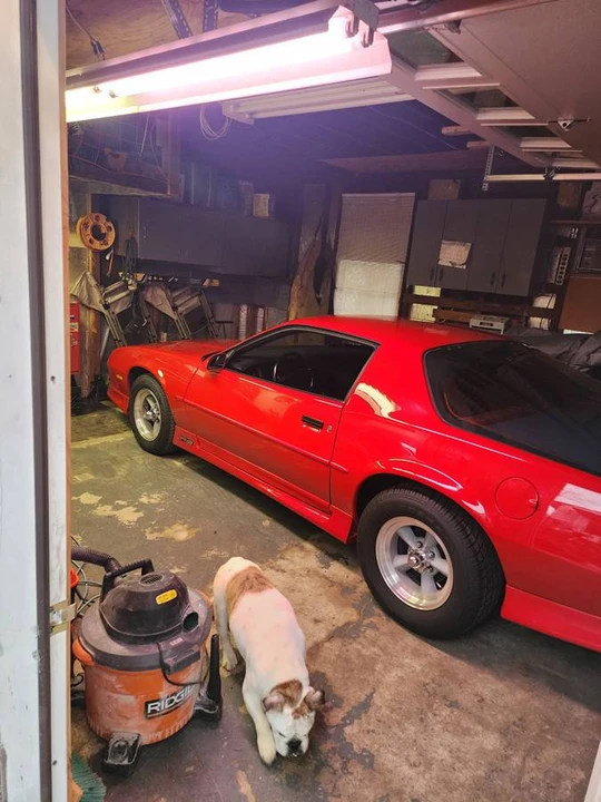 1991 Chevrolet Camaro 3rd Gen - Image 7 of 10