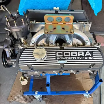 Shelby 289 Crate Engine