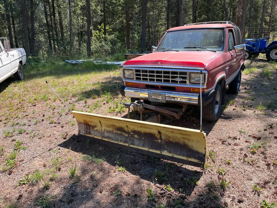 1984 Ford Bronco II - Image 12 of 12