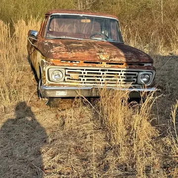 1964 Ford F-100