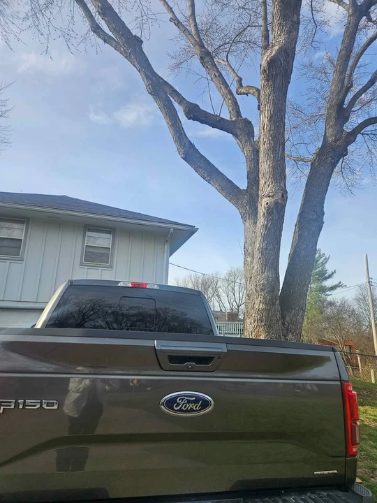 2016 Ford F-150 13th Gen - Image 3 of 7