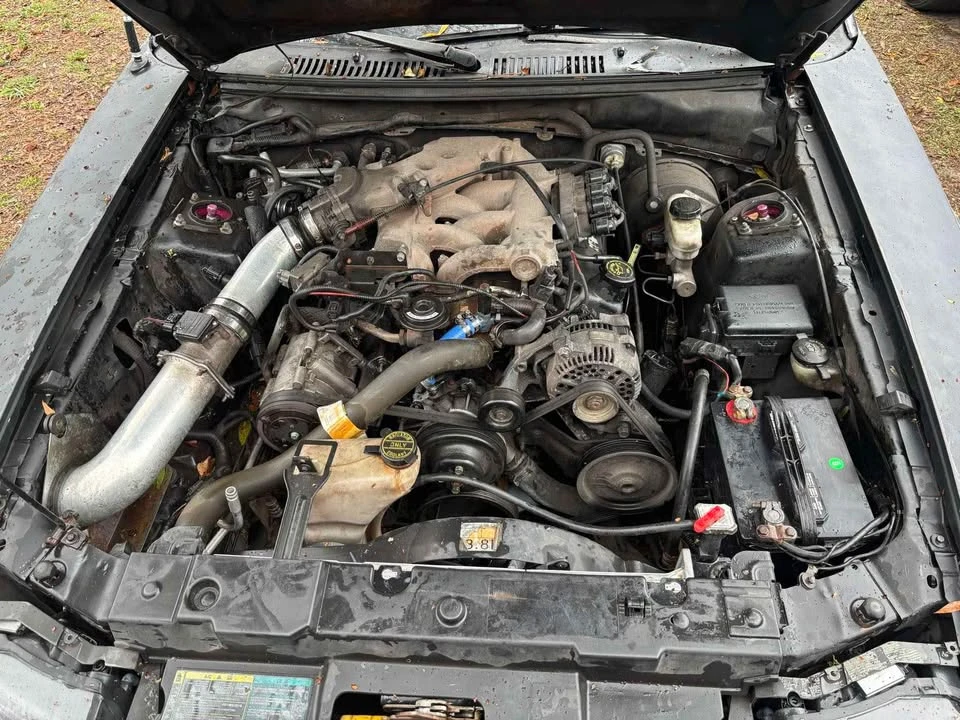 2000 Ford SN95 Mustang - Image 10 of 10