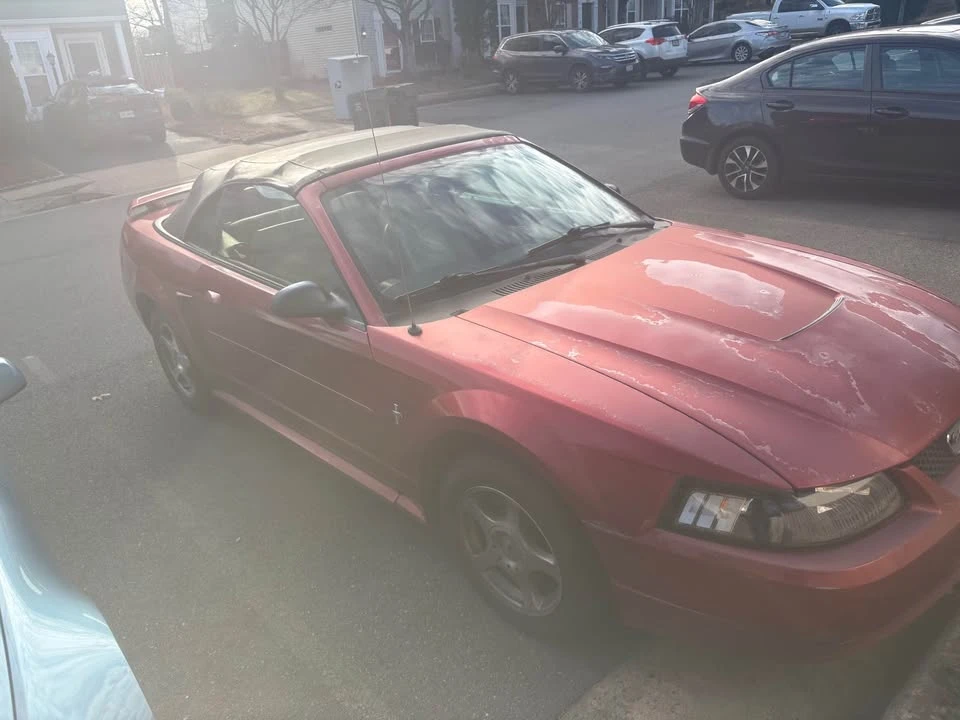 Ford Mustang - Image 3 of 3