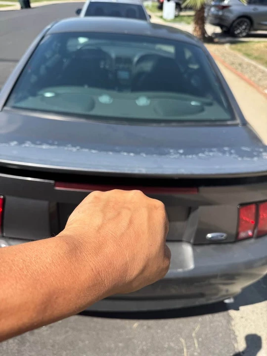 2003 Ford SN95 Mustang - Image 3 of 5