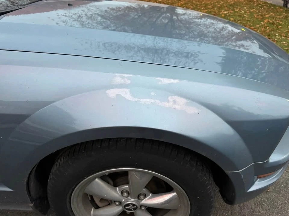 2006 Ford S197 Mustang - Image 3 of 7