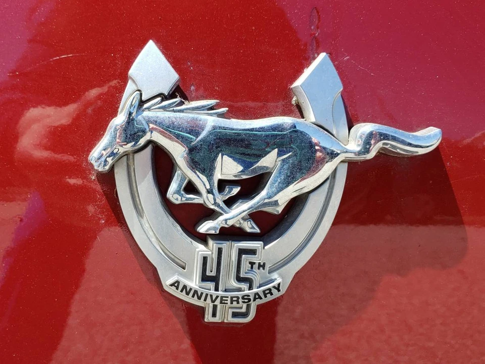 2009 Ford S197 Mustang - Image 2 of 15