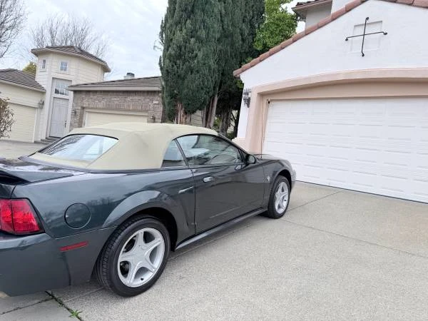 1999 Ford SN95 Mustang - Image 3 of 14