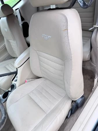 1999 Ford SN95 Mustang - Image 9 of 14