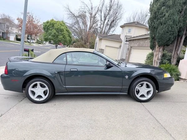 1999 Ford SN95 Mustang - Image 2 of 14