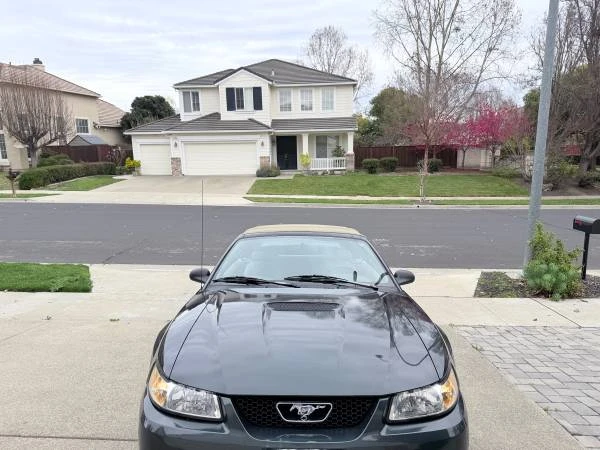 1999 Ford SN95 Mustang - Image 8 of 14