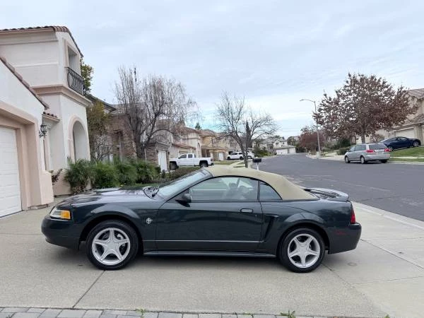 1999 Ford SN95 Mustang - Image 6 of 14