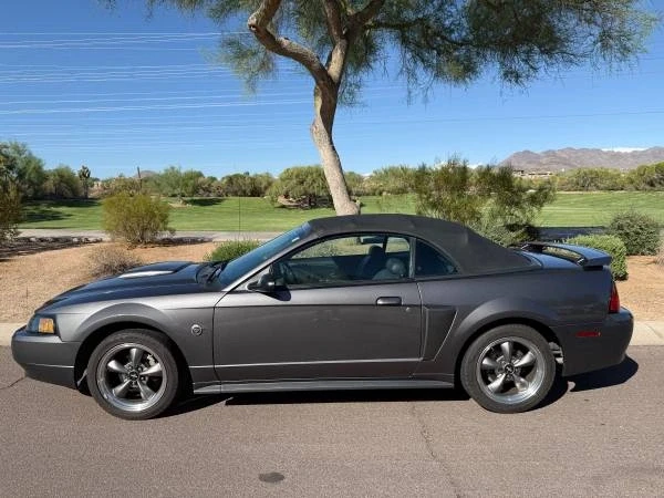 2004 Ford SN95 Mustang - Image 6 of 21