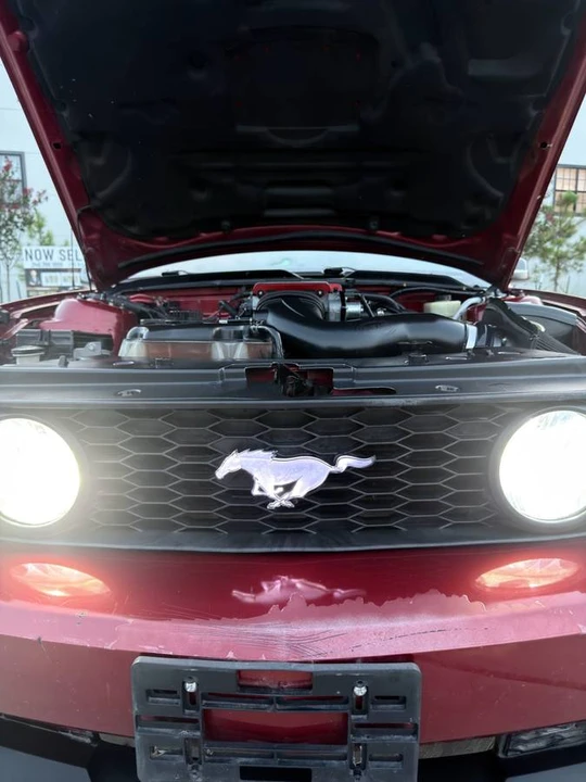 2008 Ford S197 Mustang GT - Image 10 of 15