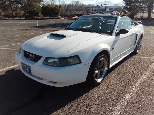 2002 Ford SN95 Mustang - Image 3 of 10
