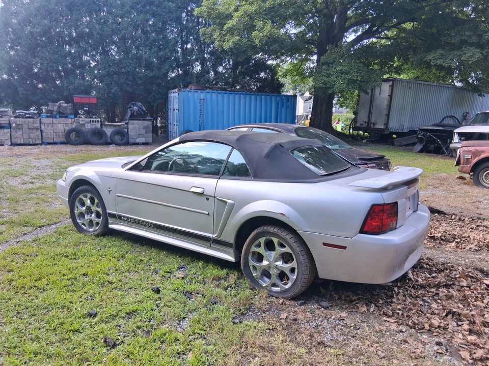2002 Ford SN95 Mustang - Image 2 of 3