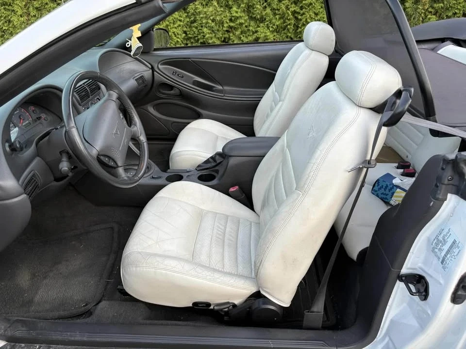 2004 Ford SN95 Mustang - Image 8 of 10